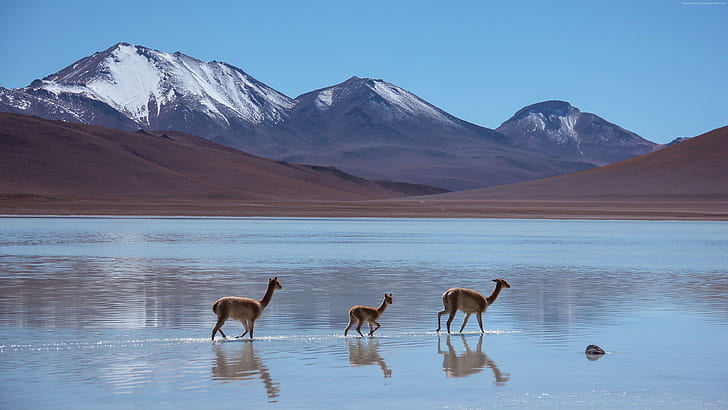 Quiénes Somos - Bolivia Turismo